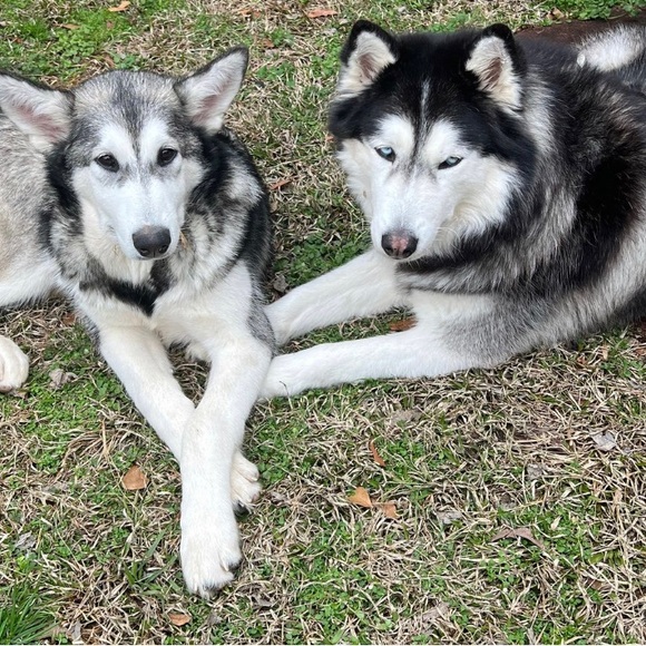 Listing Details - Picture 10 of 10